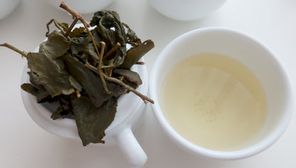 [Taiwan Zhenwei Tea] Alishan Oolong - 2023 Summer